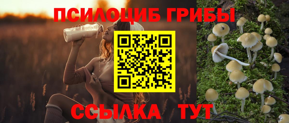 Сердобск  Галлюциногенные грибы Cubensis  Вход с VPN 